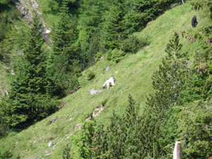 Kandersteg